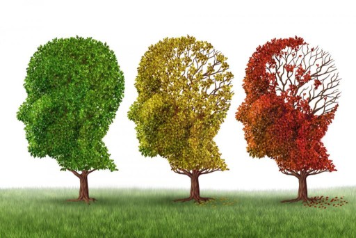 “La proyección del aumento de los casos de Alzheimer representa un problema de salud pública enorme”