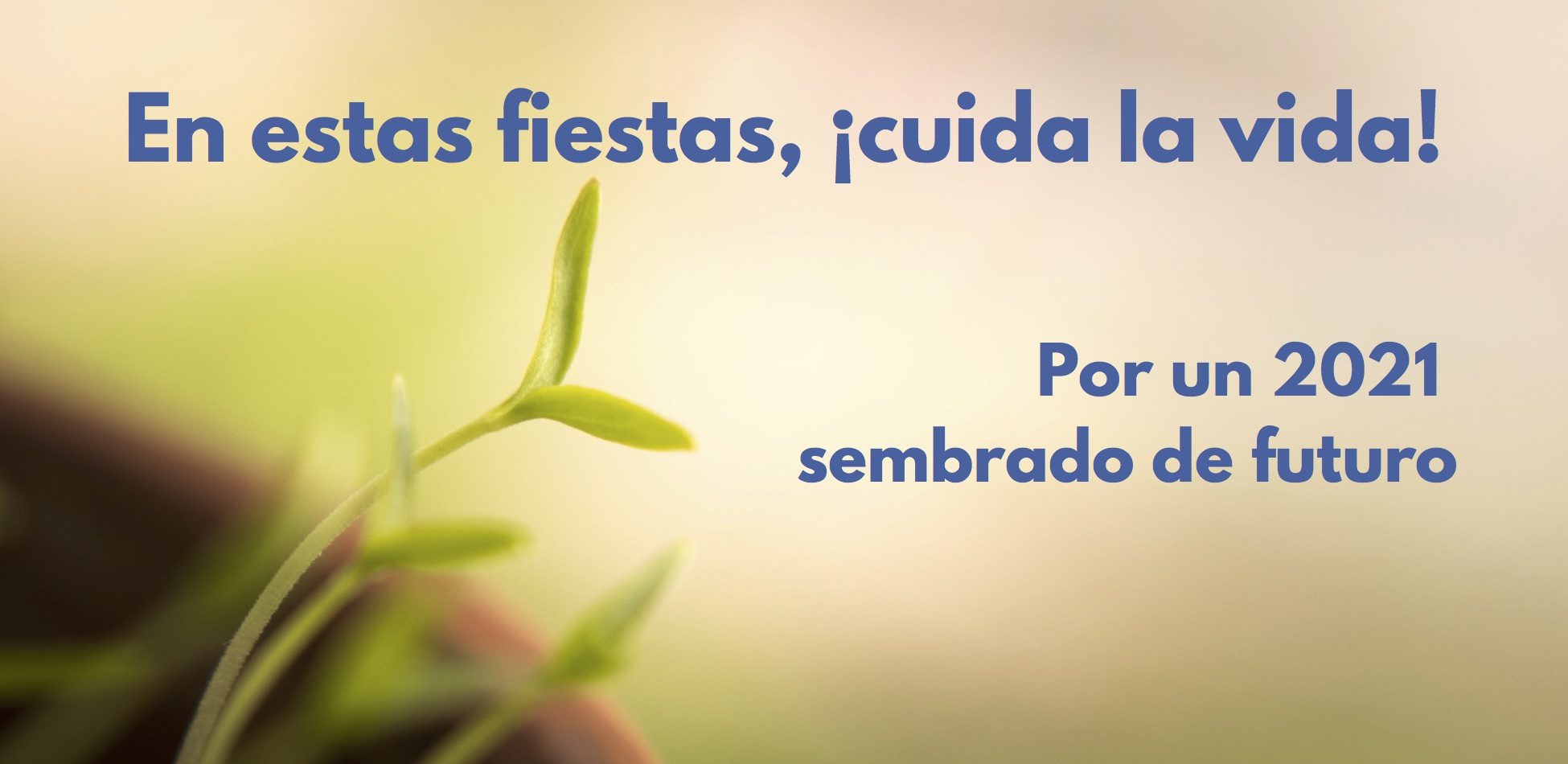En estas fiestas, ¡cuida la vida!