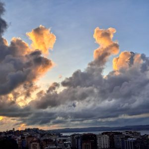 Parque. Mención Especial I concurso 2021