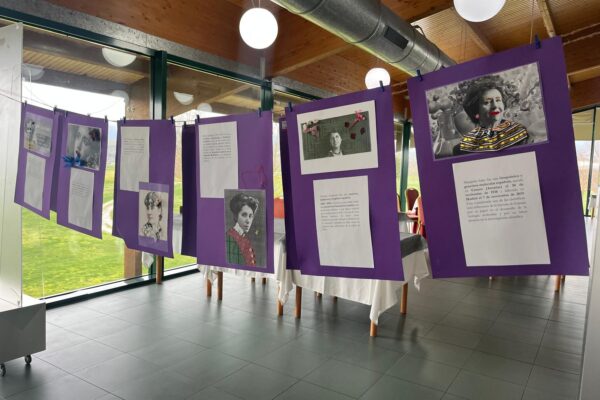 WhatsApp Image 2026-03-10 at 10.26.47